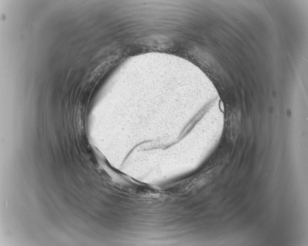 X0000085291058200704092226