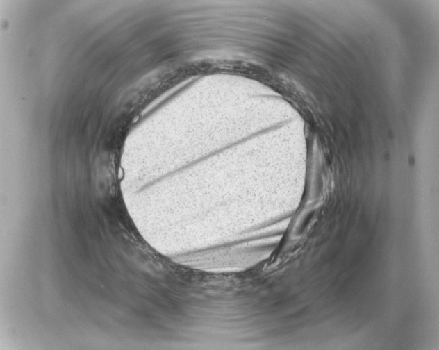 X0000085291062200704092226