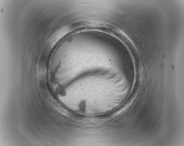 X0000085291065200704092226