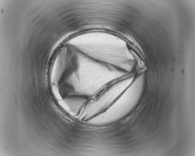 X0000085291068200704092226