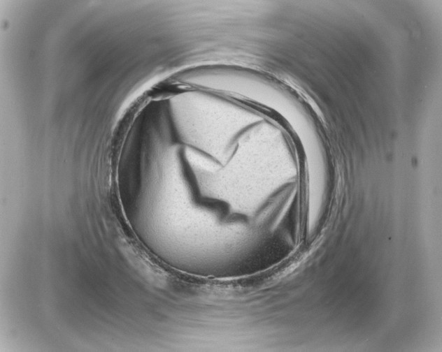 X0000085291069200704092226