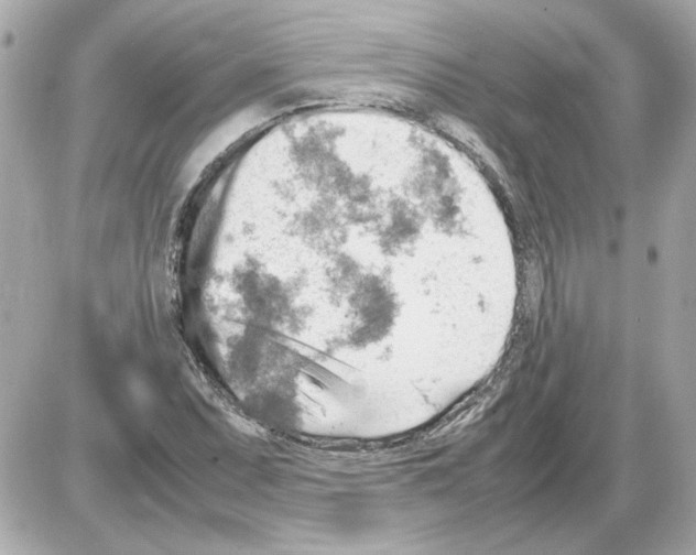 X0000085291071200704092226