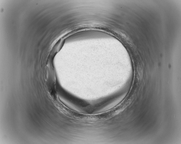 X0000085291073200704092226