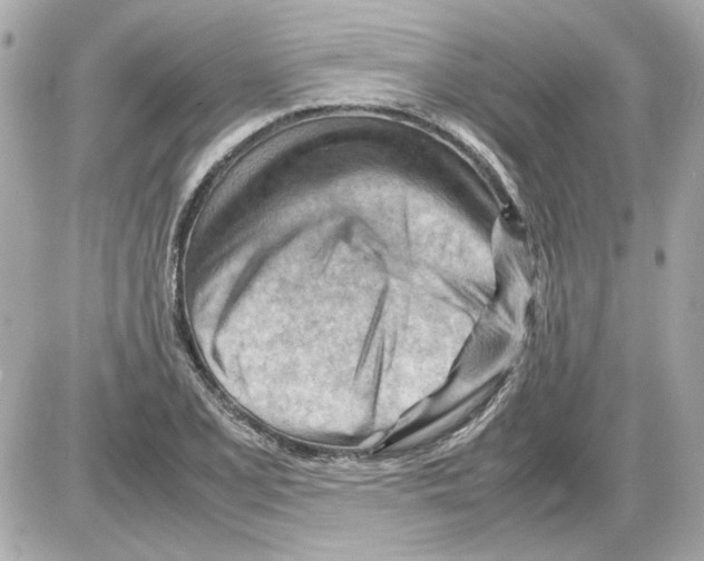 X0000085291077200704092226