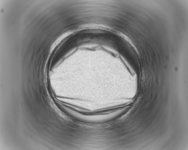 X0000085291082200704092226