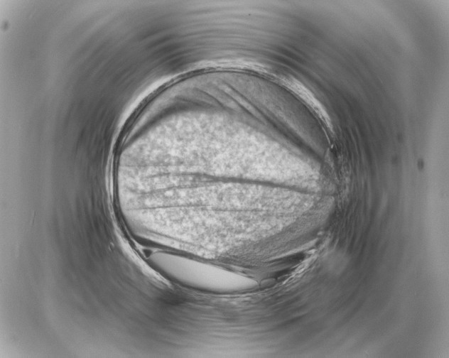 X0000085291084200704092226