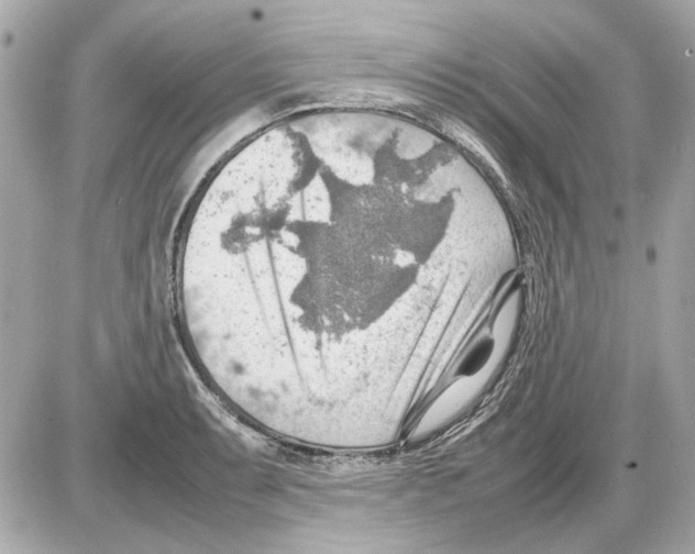 X0000085291087200704092226