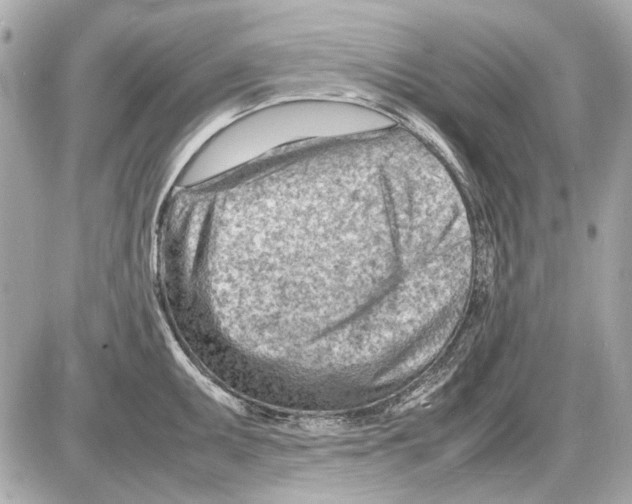 X0000085291095200704092226