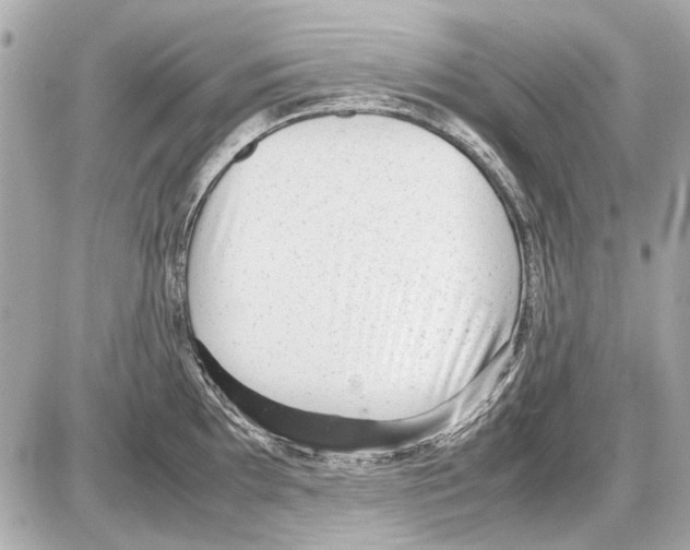 X0000085291097200704092226