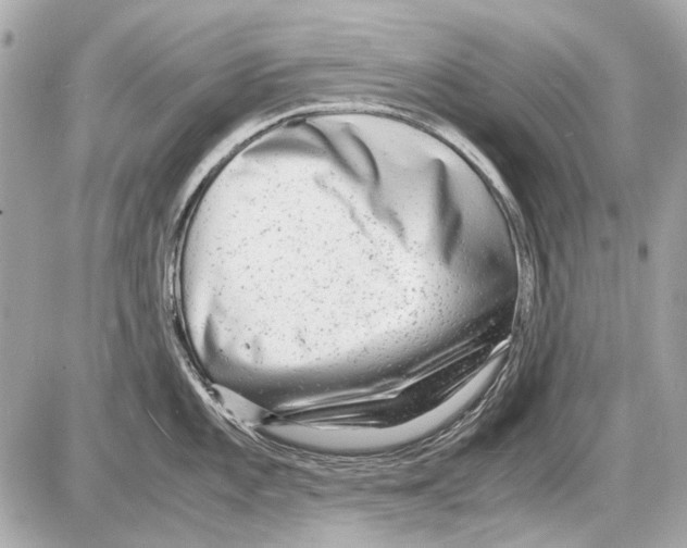 X0000085291101200704092226