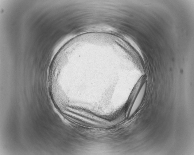 X0000085291103200704092226