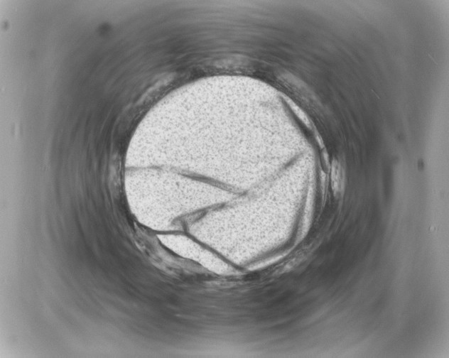 X0000085291107200704092225