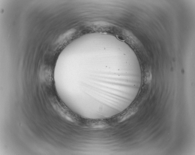 X0000085291108200704092225