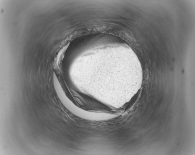 X0000085291109200704092225