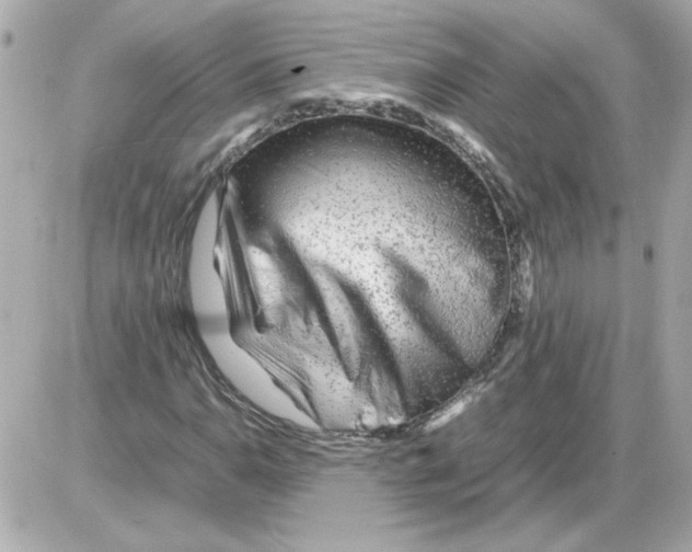 X0000085291110200704092225