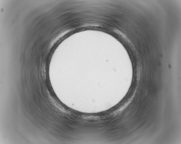 X0000085291113200704092225