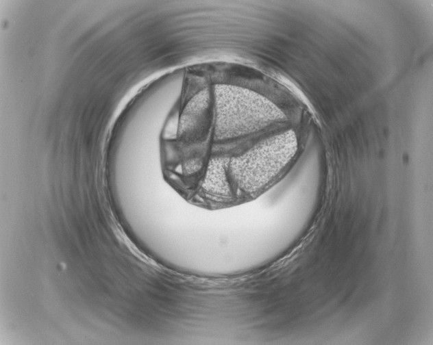 X0000085291116200704092225