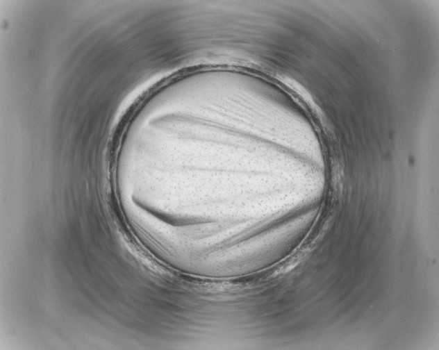 X0000085291120200704092225
