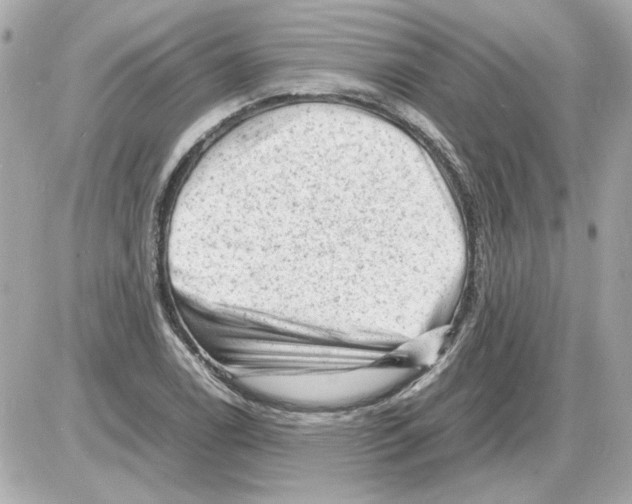 X0000085291122200704092225