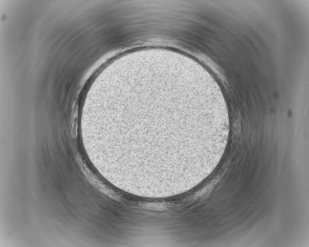 X0000085291126200704092225