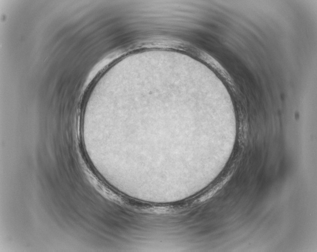 X0000085291130200704092225