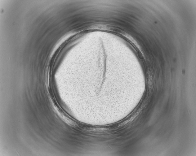 X0000085291131200704092225
