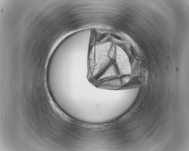 X0000085291132200704092225