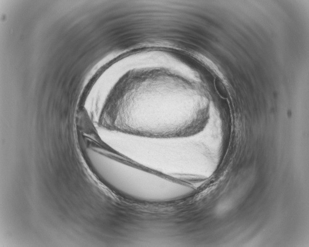 X0000085291133200704092225