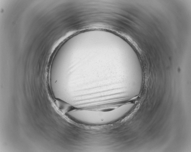X0000085291134200704092225