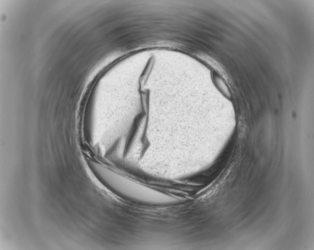 X0000085291135200704092225