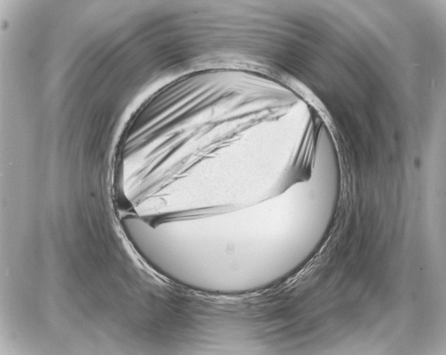 X0000085291144200704092225