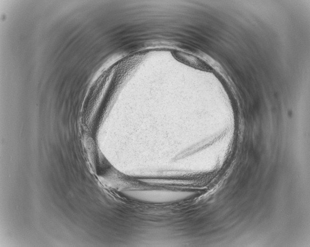 X0000085291145200704092225