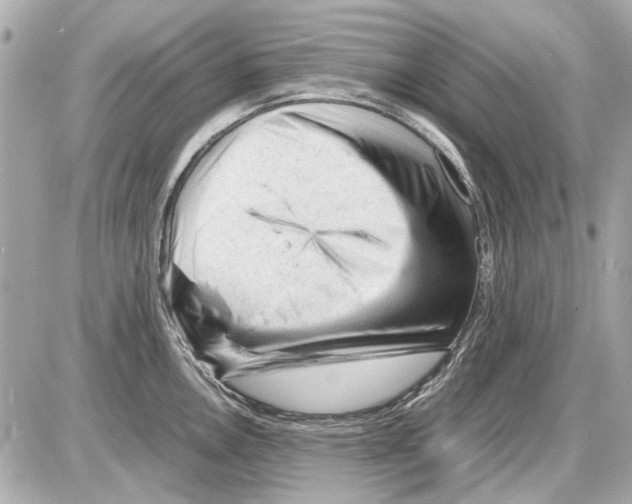 X0000085291146200704092225