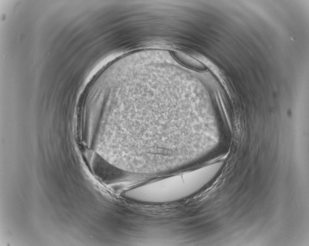 X0000085291147200704092225