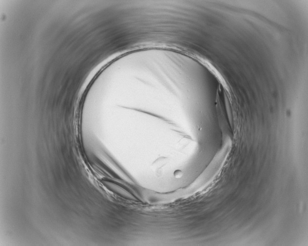 X0000085291148200704092225