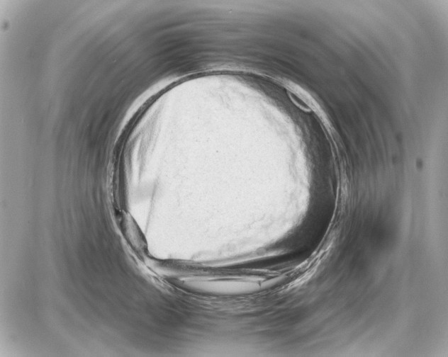 X0000085291149200704092225