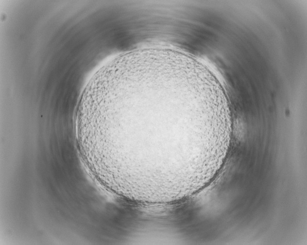 X0000085291150200704092225