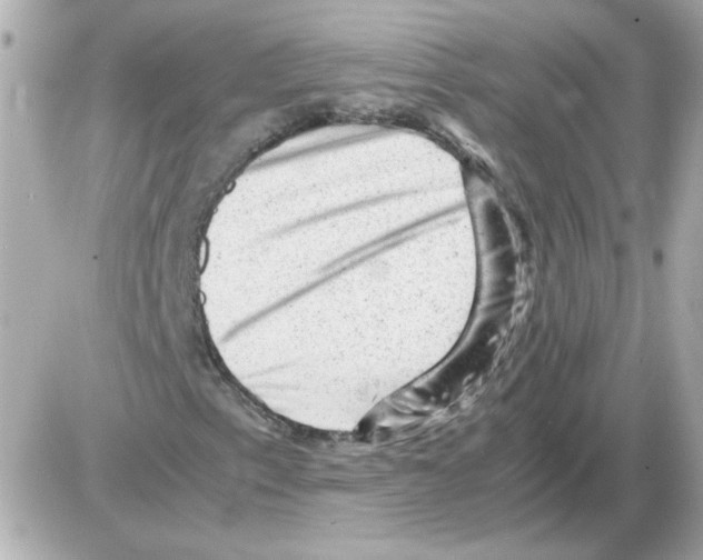 X0000085291153200704092225