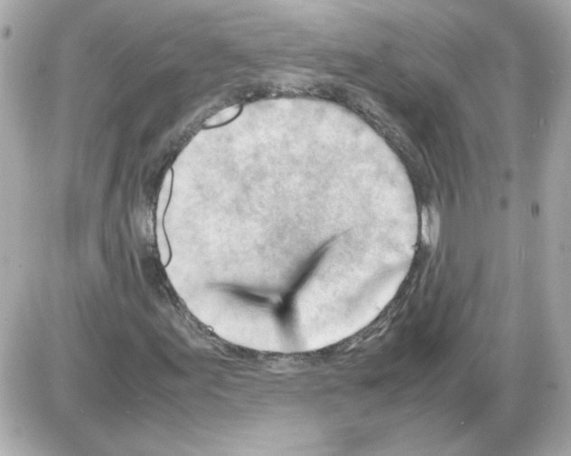 X0000085291155200704092225