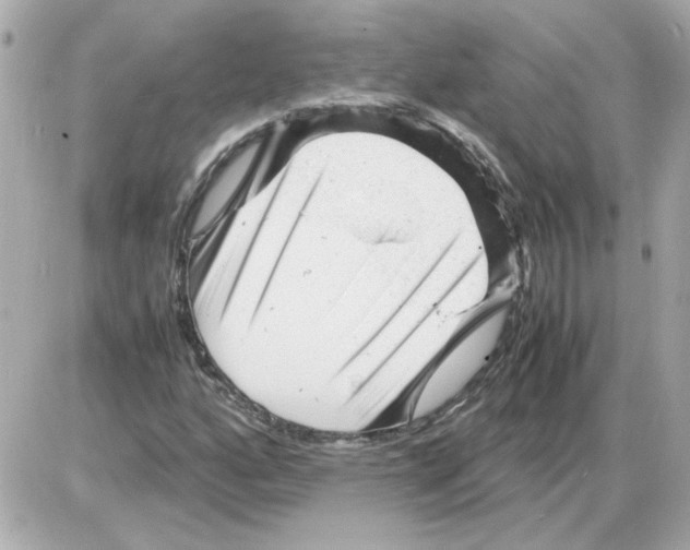 X0000085291160200704092225