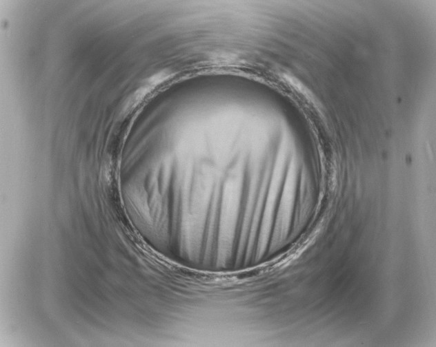 X0000085291161200704092225