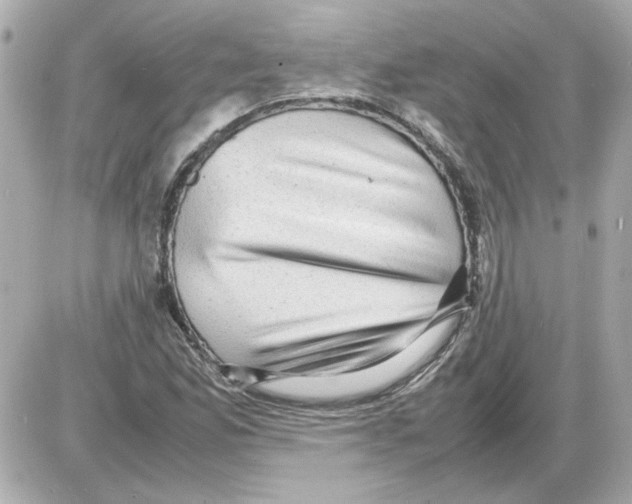X0000085291165200704092224
