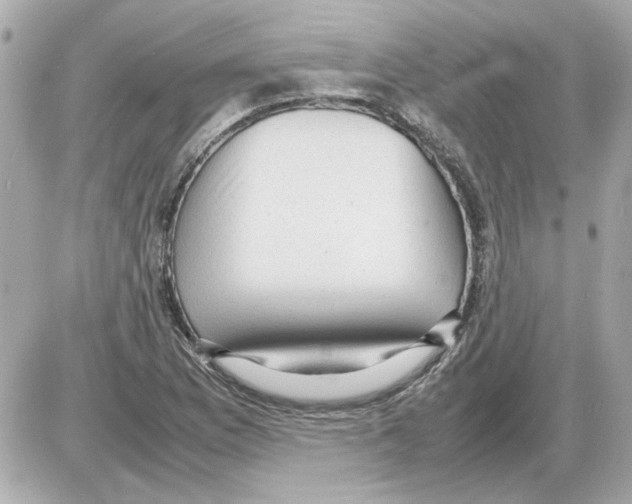 X0000085291169200704092224
