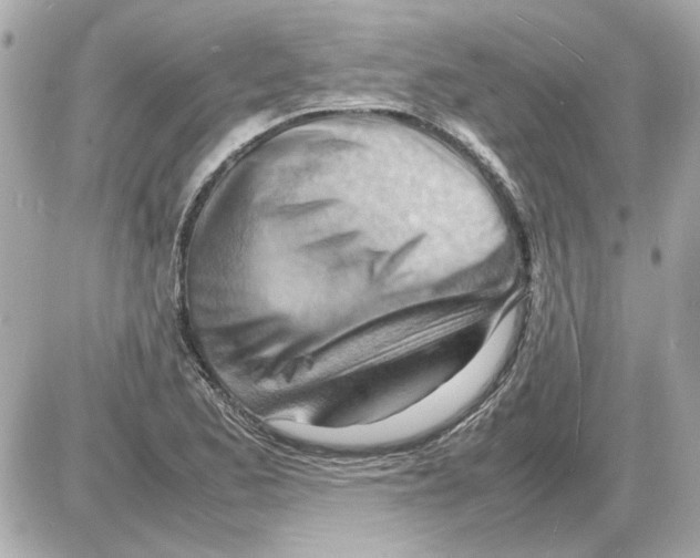 X0000085291173200704092224