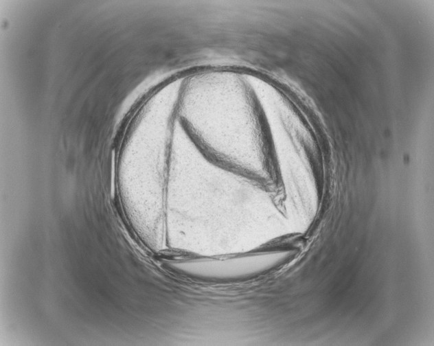 X0000085291175200704092224