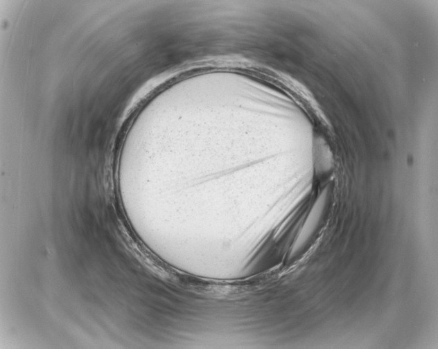 X0000085291176200704092224