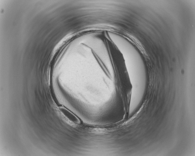 X0000085291180200704092224