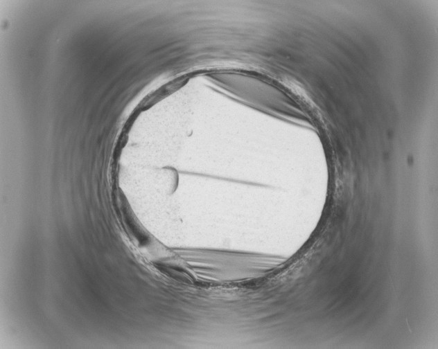 X0000085291181200704092224