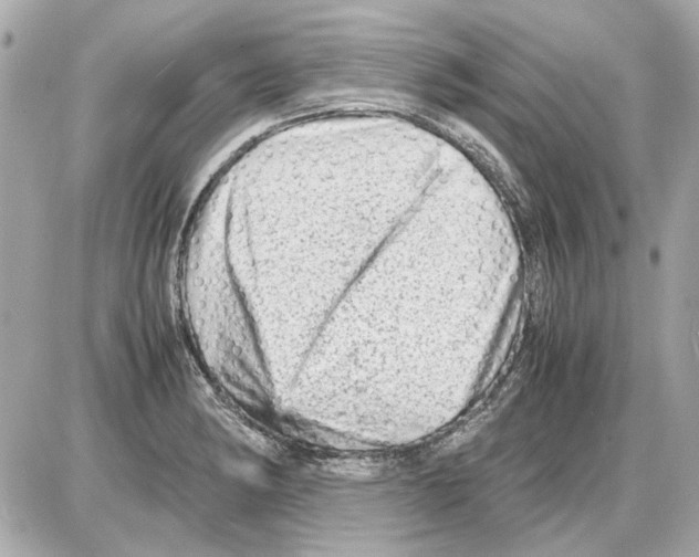 X0000085291182200704092224