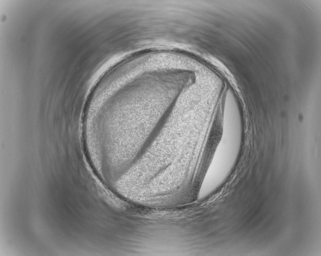 X0000085291183200704092224